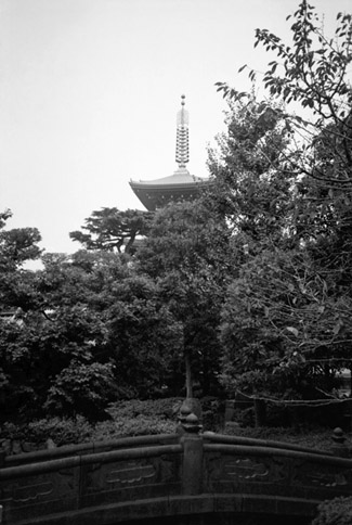 Hidden Pagoda