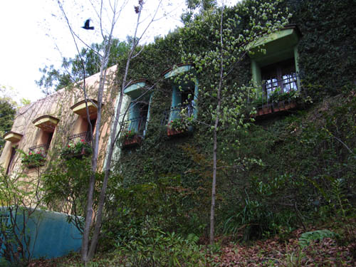 External