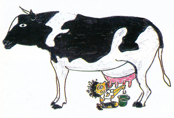 Cow