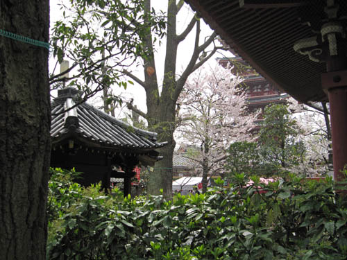 Asakusa, Tokyo