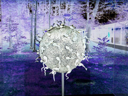 Jan Fabre