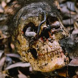 Cannibal Holocaust