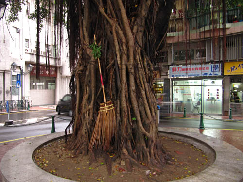 Tree!