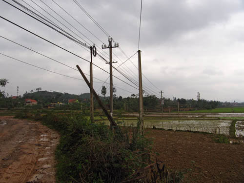 Farm View