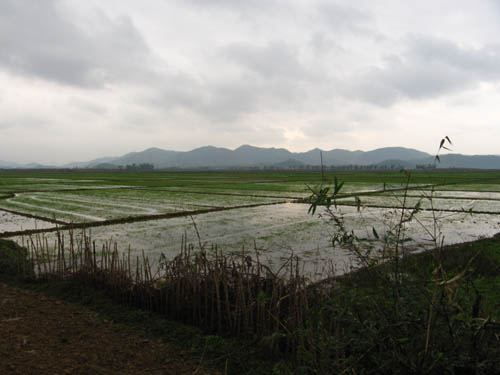 Farm View